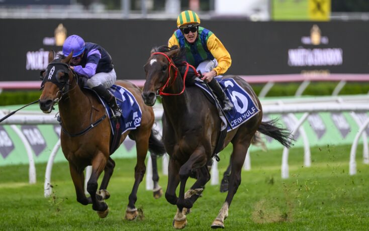 巴黎管理层 巴黎管理层